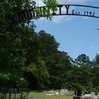 Community Cemetery on Sysoon