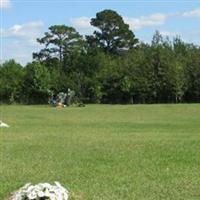 Conehatta Choctaw Cemetery on Sysoon