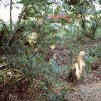 Conger Cemetery on Sysoon