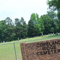 Copeland Ridge Cemetery on Sysoon