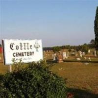 Cottle Cemetery on Sysoon