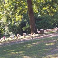 Cove Baptist Church Cemetery on Sysoon