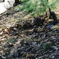 Crawford Family Cemetery on Sysoon