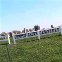 Cuppys Grove Cemetery on Sysoon