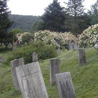 Cuyler Cemetery on Sysoon