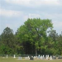 Danville Cemetery on Sysoon