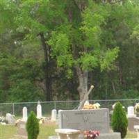 Danville Cemetery on Sysoon