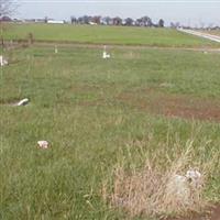 Davis Cemetery on Sysoon