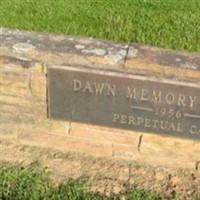 Dawn Memory Garden on Sysoon