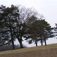 Defiance County Home Cemetery on Sysoon