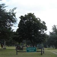 Diamond Bluff Cemetery on Sysoon