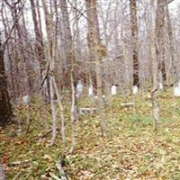Dinwiddie (James Jr.) Cemetery on Sysoon