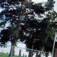 Douglas Union Cemetery on Sysoon