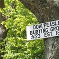 Dow-Peaslee Burying Ground on Sysoon