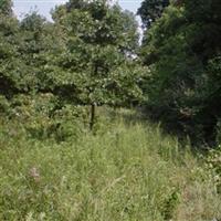 Drummond-Folden Cemetery on Sysoon