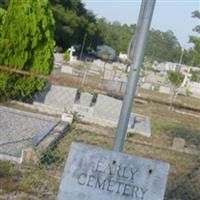 Early Cemetery on Sysoon