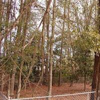 Eighth Street Cemetery on Sysoon