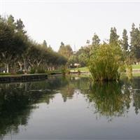 El Campo Santo Cemetery on Sysoon