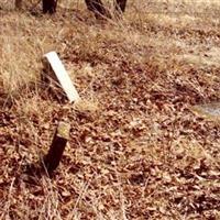 Emanuel's Liberal United Brethren Church Cemetery on Sysoon