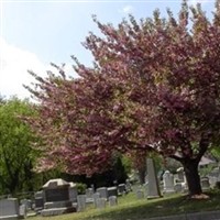 Emmanuel Methodist Episcopal Cemetery on Sysoon