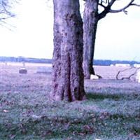 Epley Cemetery on Sysoon