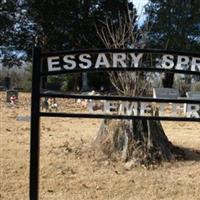 Essary Springs Cemetery on Sysoon