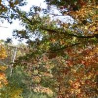 Eureka Township Cemetery on Sysoon