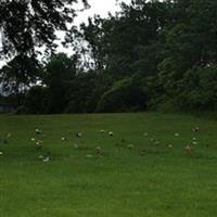 Evans Avenue Cemetery on Sysoon