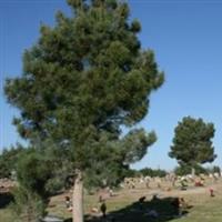 Evergreen East Cemetery on Sysoon