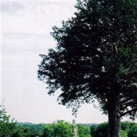 Farmington Cemetery on Sysoon