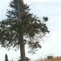 Fee-Carlin Cemetery on Sysoon