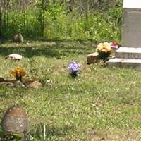 Ferguson Family Cemetery on Sysoon