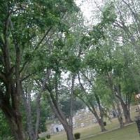 Ferndale Cemetery on Sysoon