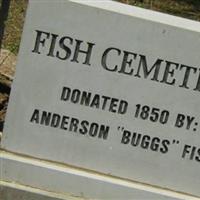 Fish Cemetery on Sysoon