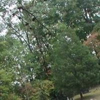 Flatwoods Cemetery on Sysoon