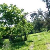 Forest Grove Cemetery on Sysoon