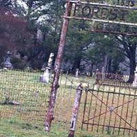 Forest Hill Cemetery on Sysoon