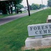 Forest Home Cemetery on Sysoon