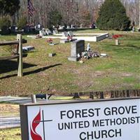Forest Grove Methodist Church Cemetery on Sysoon