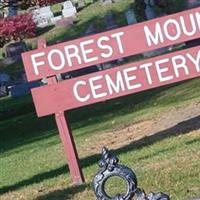 Forest Mound Cemetery on Sysoon