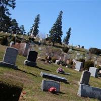 Forest View Cemetery on Sysoon