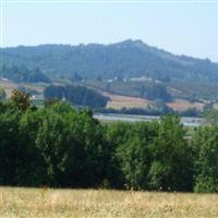 Forest View Cemetery on Sysoon