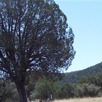 Fort Apache Cemetery on Sysoon