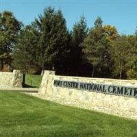 Fort Custer National Cemetery on Sysoon