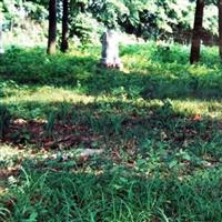 Fortney Cemetery on Sysoon