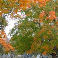 Fountain Hill Cemetery on Sysoon