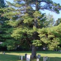 Frost Village Cemetery on Sysoon