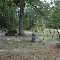 Ganey Cemetery on Sysoon