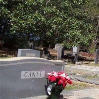 Gantt Cemetery on Sysoon