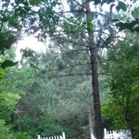 Genesee County Home (Poor House) on Sysoon